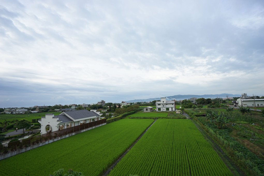 台湾の田園風景