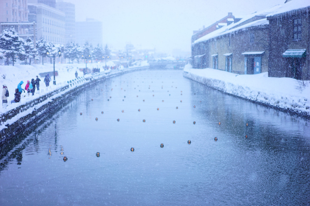 凍てつく小樽運河