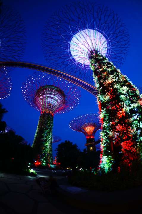 植物園＠シンガポール