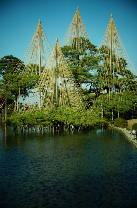 冬ぬくし霞ヶ池に浮かぶ唐崎松