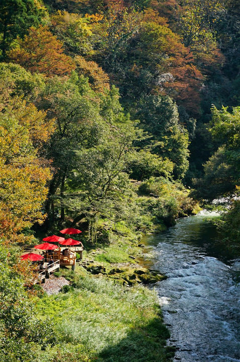 秋めく鶴仙渓の川床