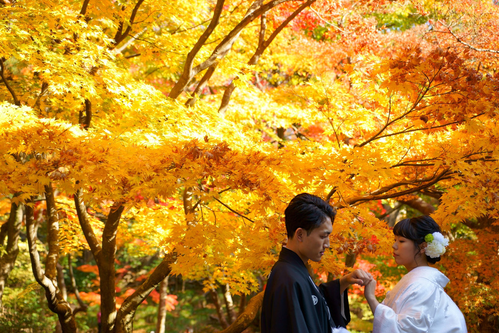 紅葉の誓い