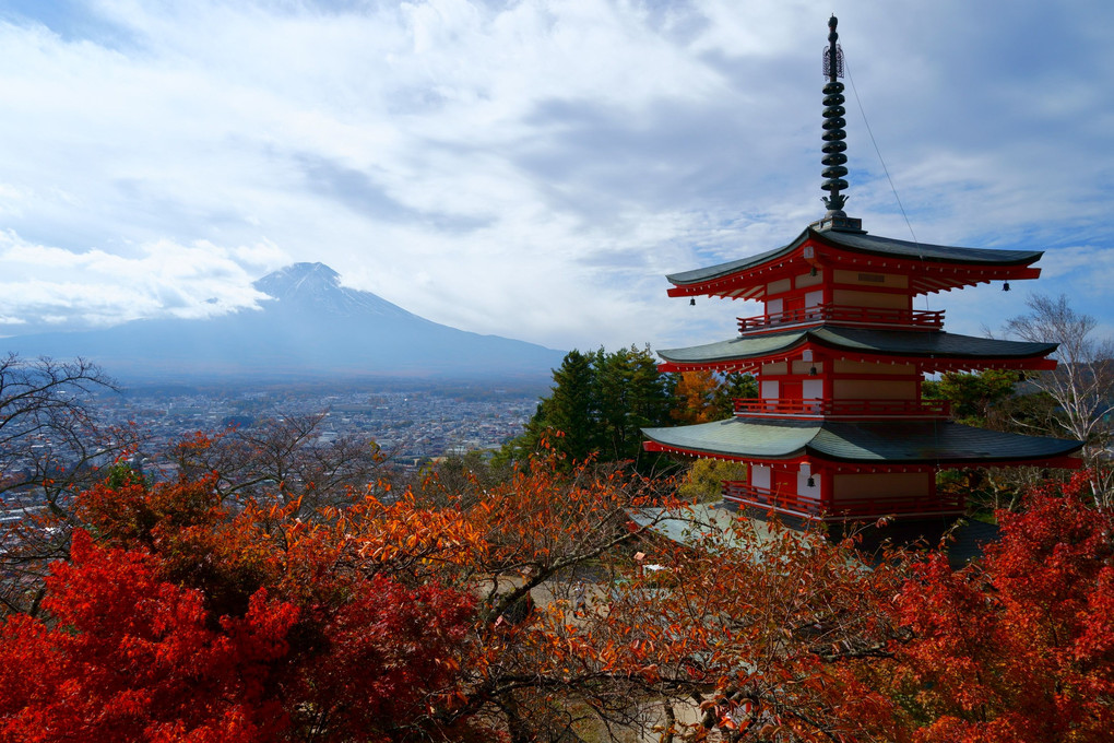 秋、富士を見に。