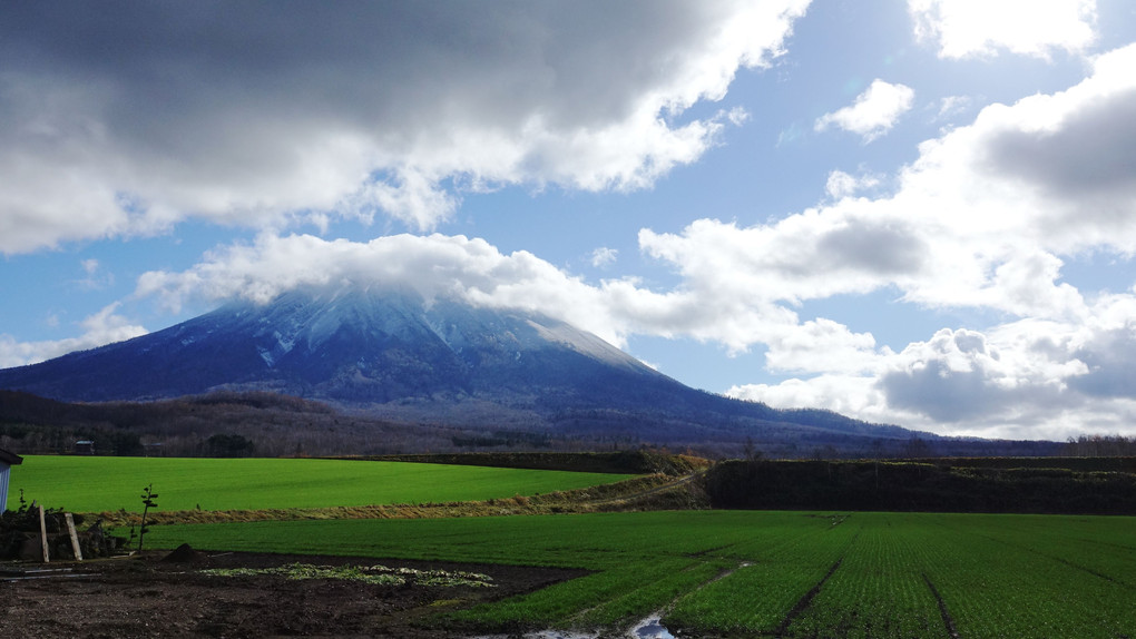 羊蹄山　かぶりもの