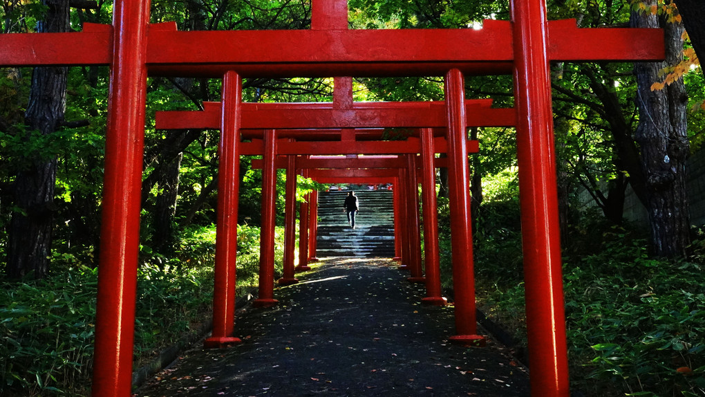 秋の参拝