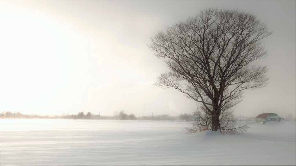 地吹雪　