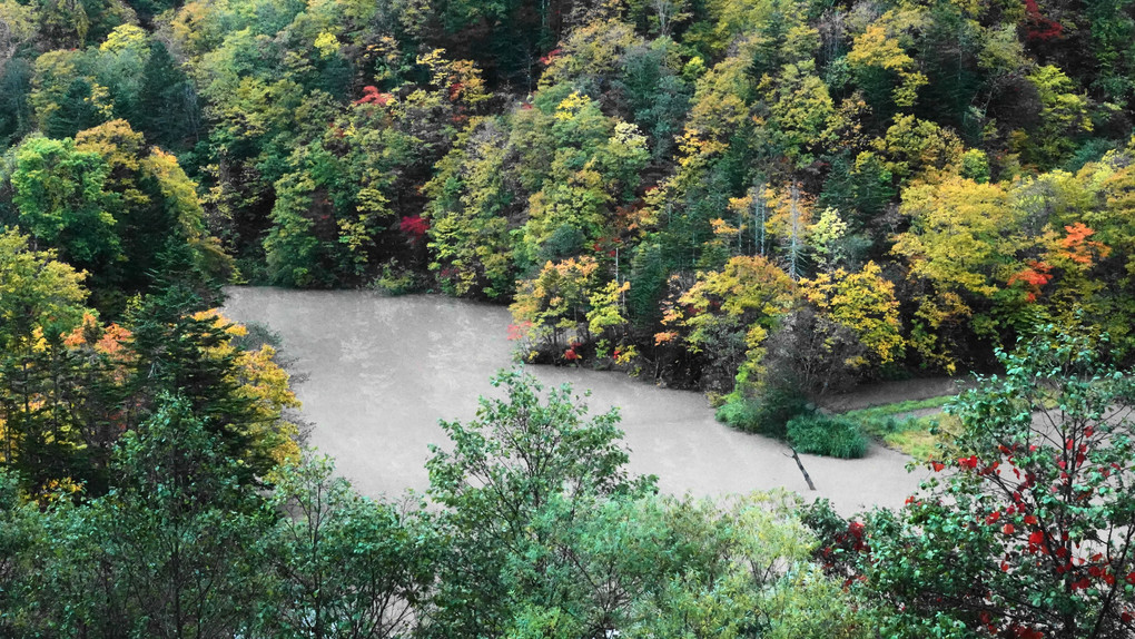 秋色　　　（びばい湖）　