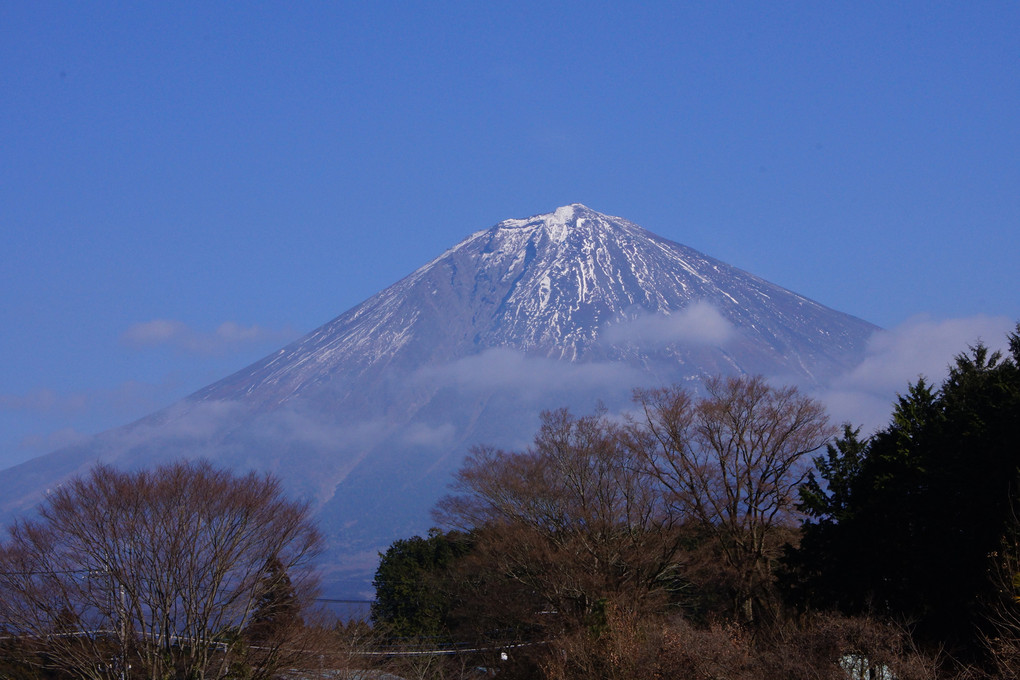暖冬の富士