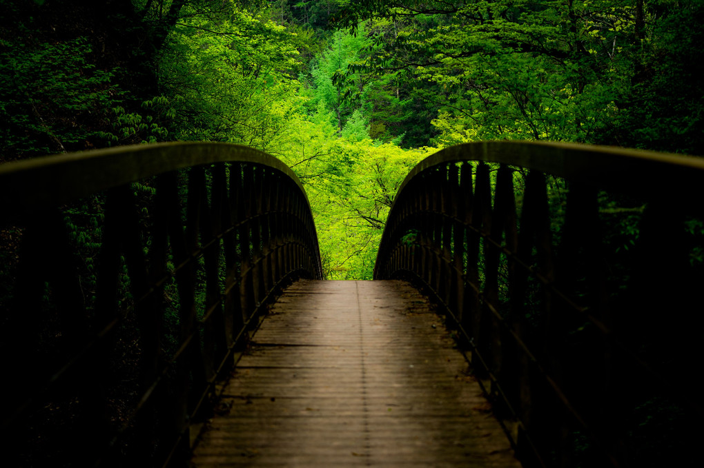 季節の架け橋