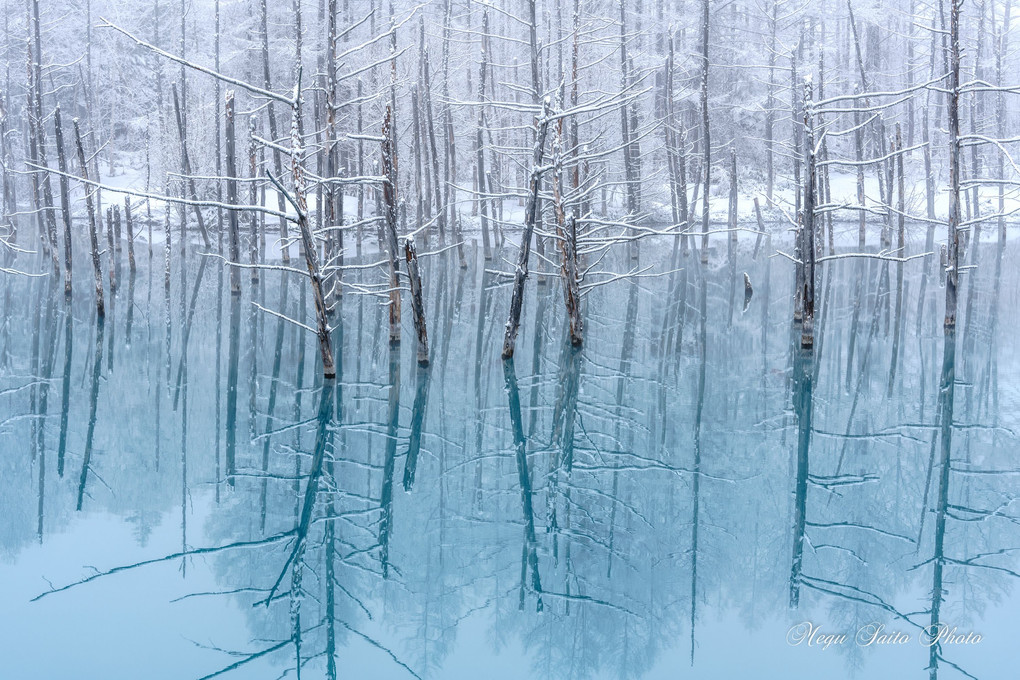 春の雪の青い池