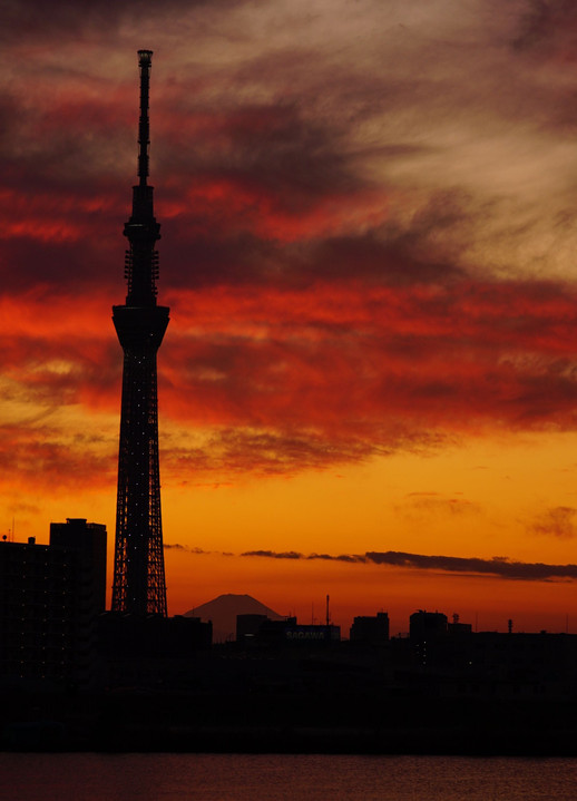 夕日の富士とスカイツリー