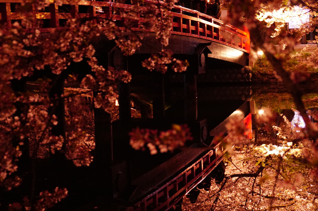 夜桜橋