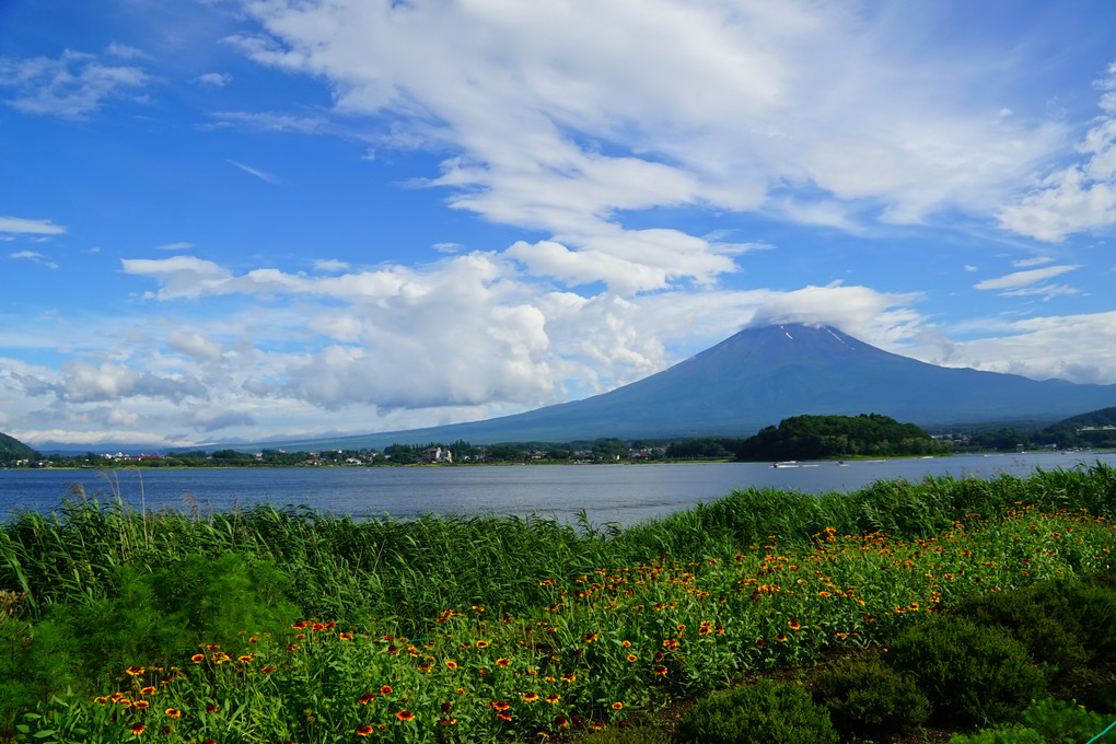 夏の富士山と空