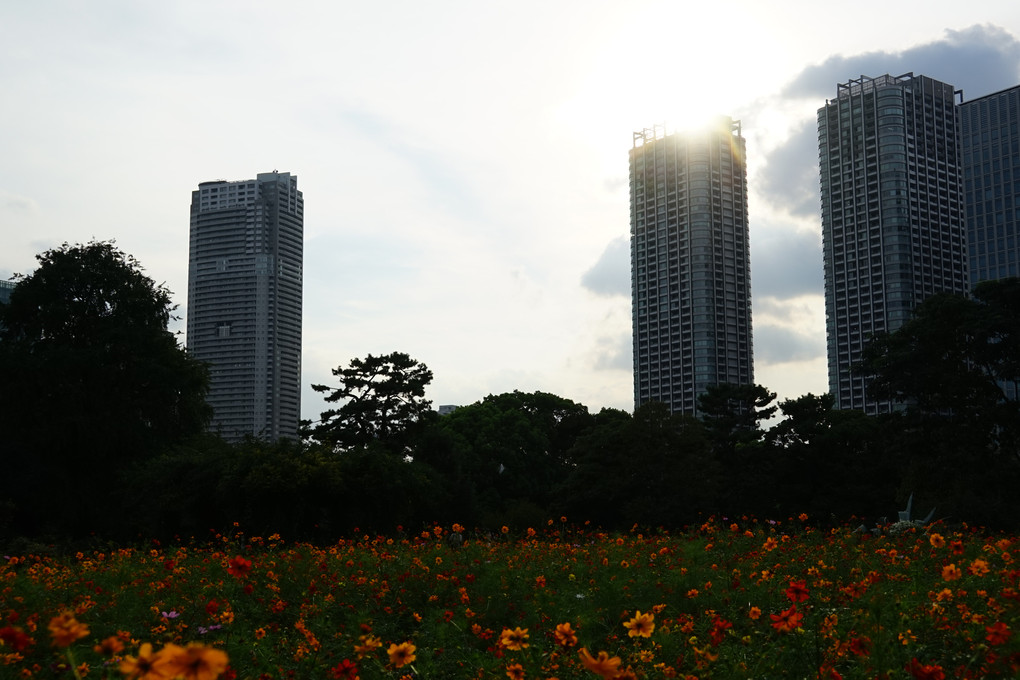 都会の夕暮れ