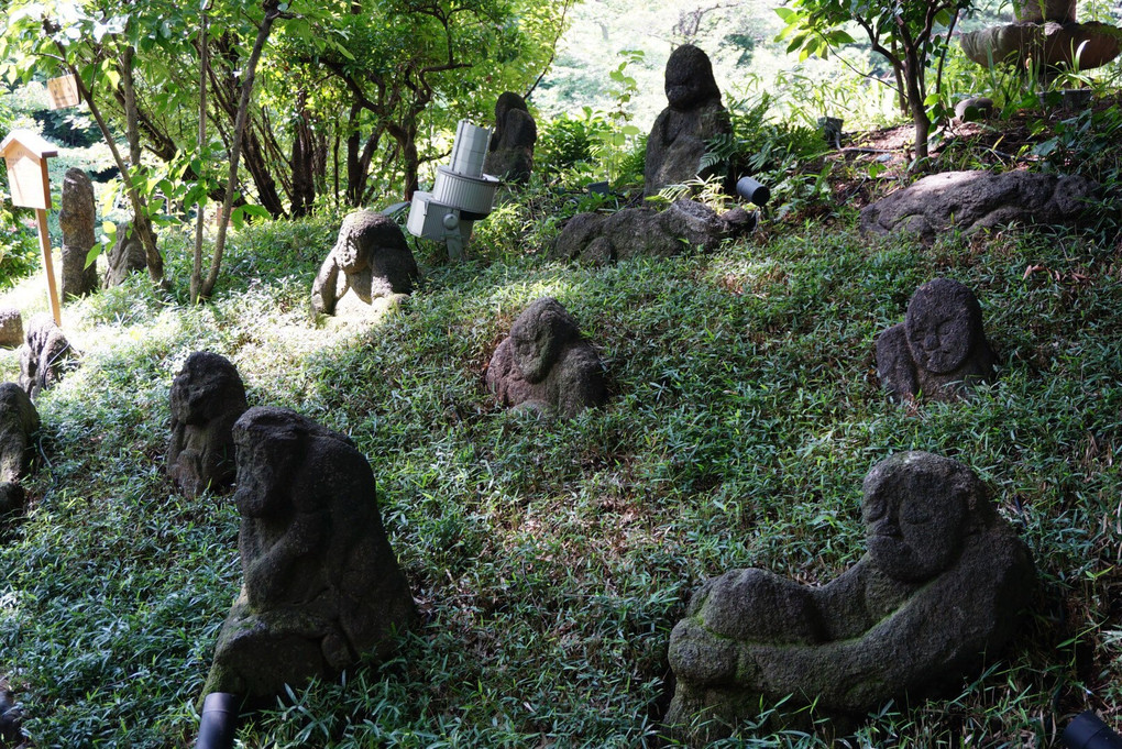 椿山荘(庭園)