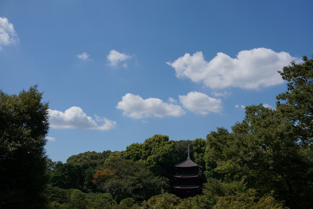 椿山荘(庭園)