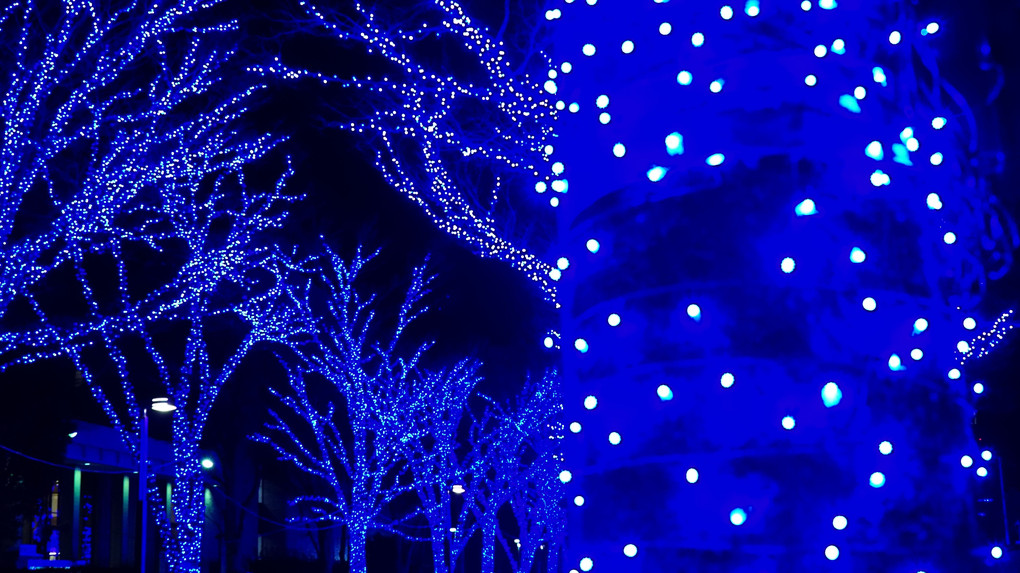青の洞窟：渋谷全長約750mに渡る美しい景色