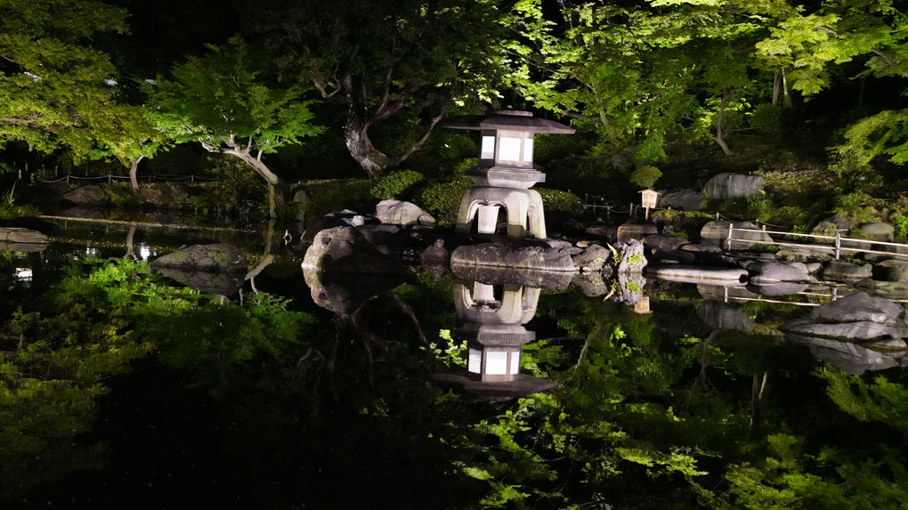 旧古河庭園バラのライトアップ:幻想的な空間に舞う/百年の想い