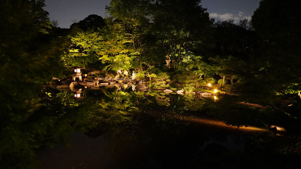 旧古河庭園バラのライトアップ:幻想的な空間に舞う/百年の想い