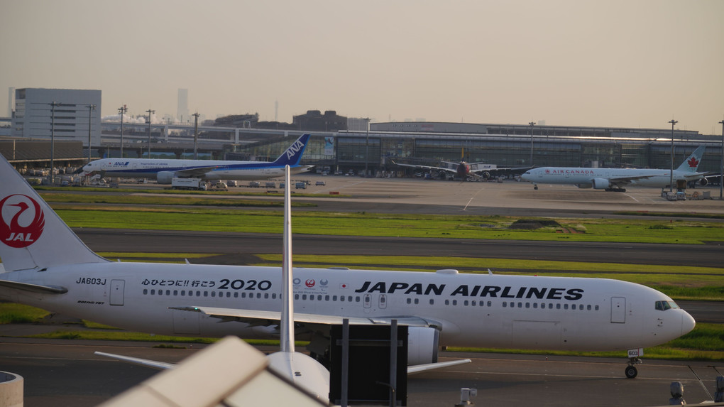 羽田第一ターミナル:夜間飛行と二重奏/ISO 25600の協奏曲