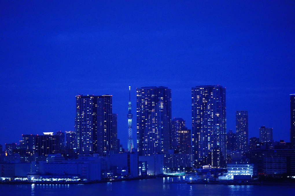 藍愁レインボーブリッジ:レインボープロムナード/スカイツリー・東京タワー