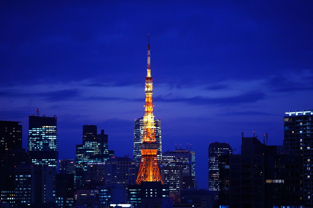 藍愁レインボーブリッジ:レインボープロムナード/スカイツリー・東京タワー