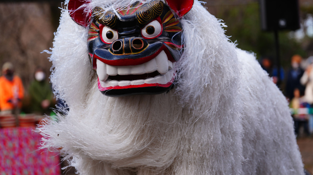 新春初撮り:琉神による琉球獅子舞　於 井の頭自然文化園