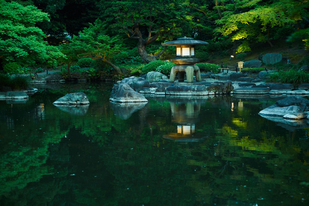日本庭園：大正の息吹漂う、Evergreen