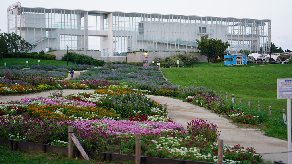 天使の楽園💖/2020デザイン花壇:葛西臨海公園_マドンナの宝石💎