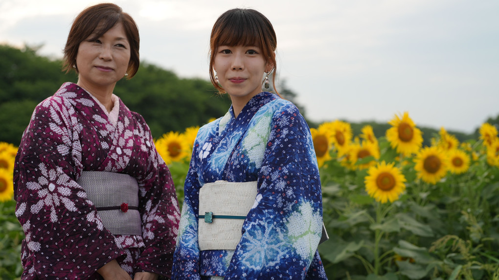 権現堂の🌻向日葵/着物姿がお似合いのステキなレディさん