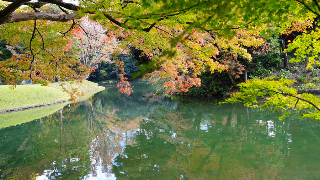 小石川後楽園の紅葉が色鮮やか