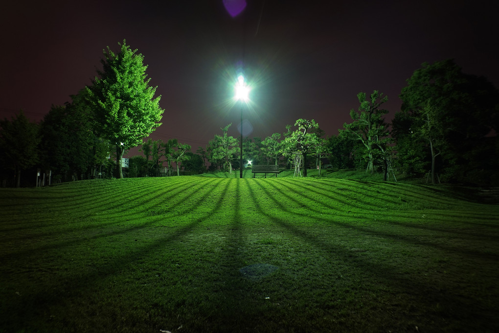 A Park in the Midnight