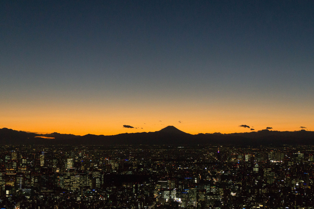 富士山と東京の街