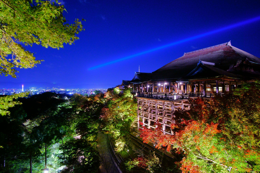 京都 清水寺・秋の夜間特別拝観 ライトアップ