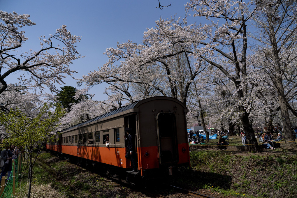 春の芦野公園駅  #津軽鉄道#