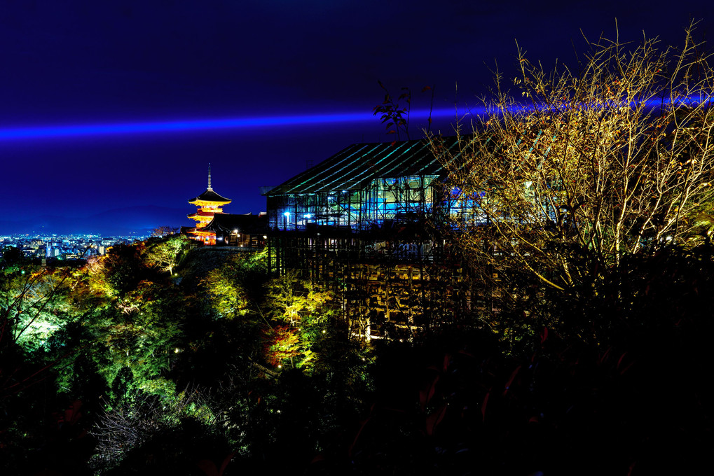 京都 清水寺 秋の夜間特別拝観 ライトアップ