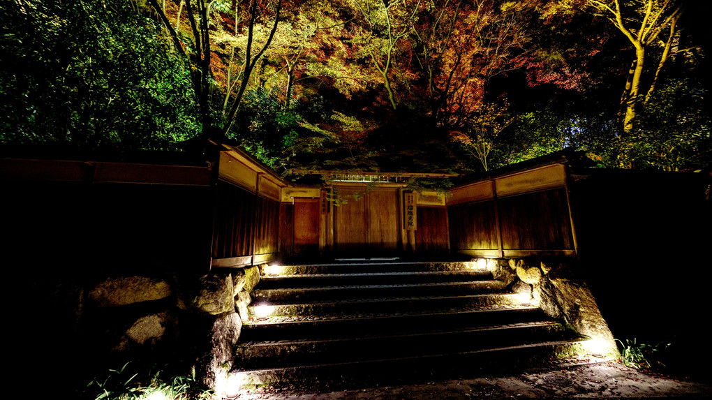 京都 瑠璃光院 夜間特別拝観
