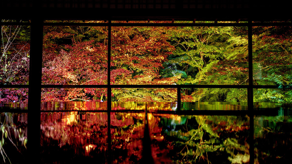 京都 瑠璃光院 夜間特別拝観