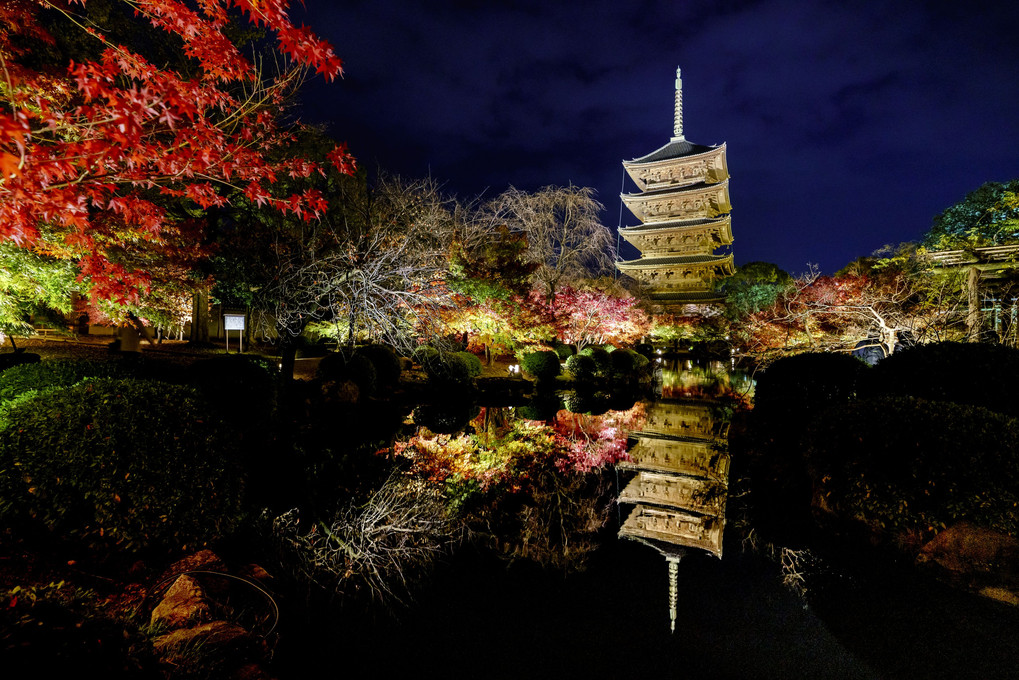 京都 東寺ライトアップ
