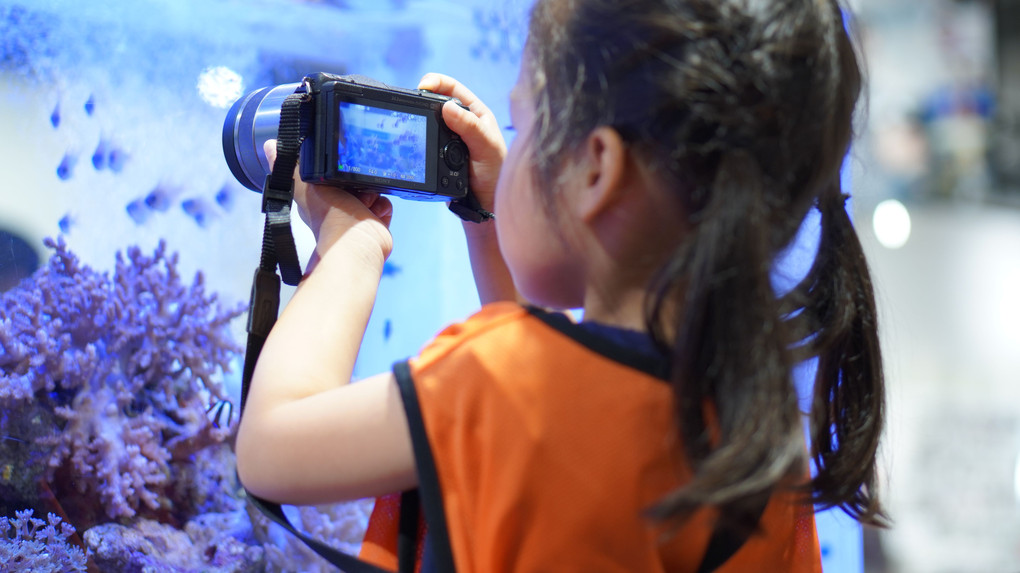 Sony Aquarium GINZA PLACE撮影ツアーにて。