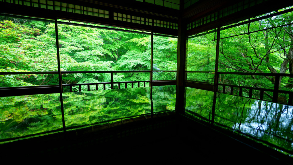 新緑の京都。