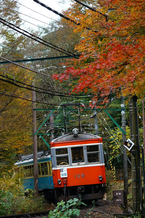 紅葉の箱根登山電車「2016」