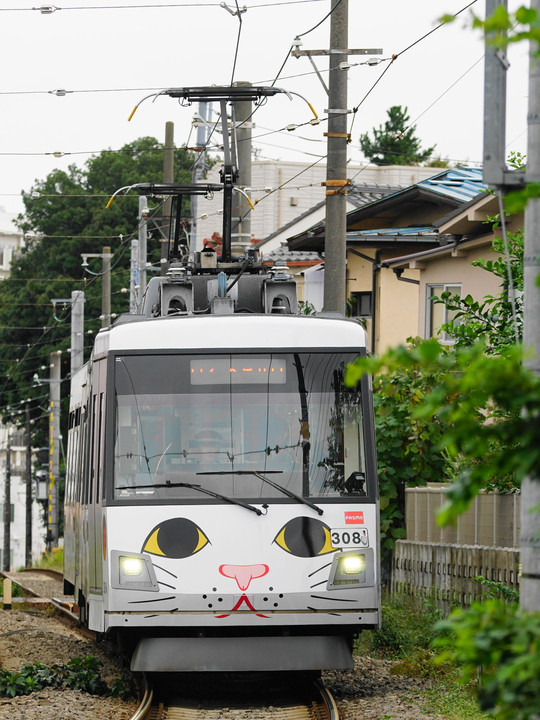 幸福の招き猫電車