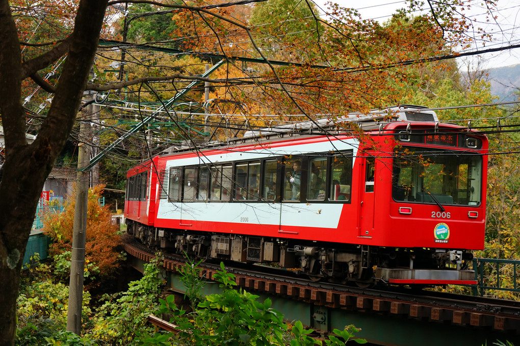 紅葉の箱根登山鉄道
