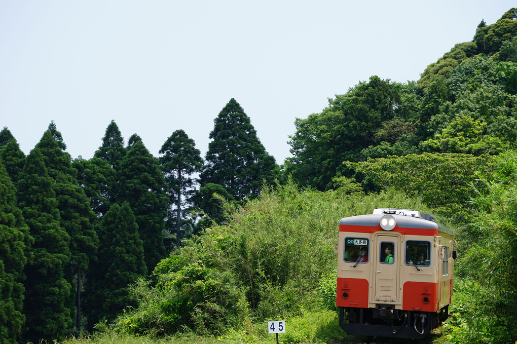 いすみ鉄道　キハ20