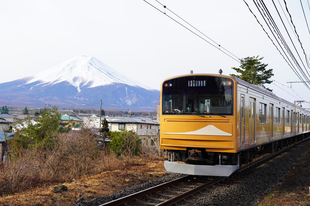 富士急行　新塗装電車