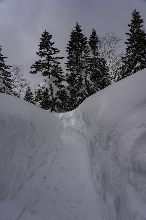 標高2000m雪の回廊