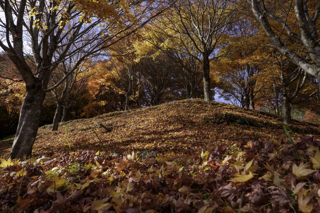 紅葉湖