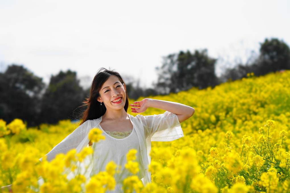 菜の花畑