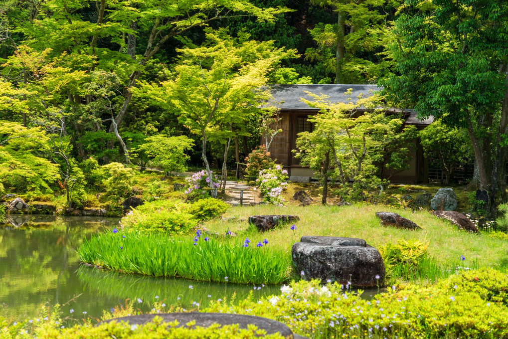 奈良の庭